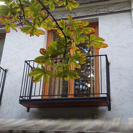 Gimi Vendégház Baja Ngoại thất bức ảnh
