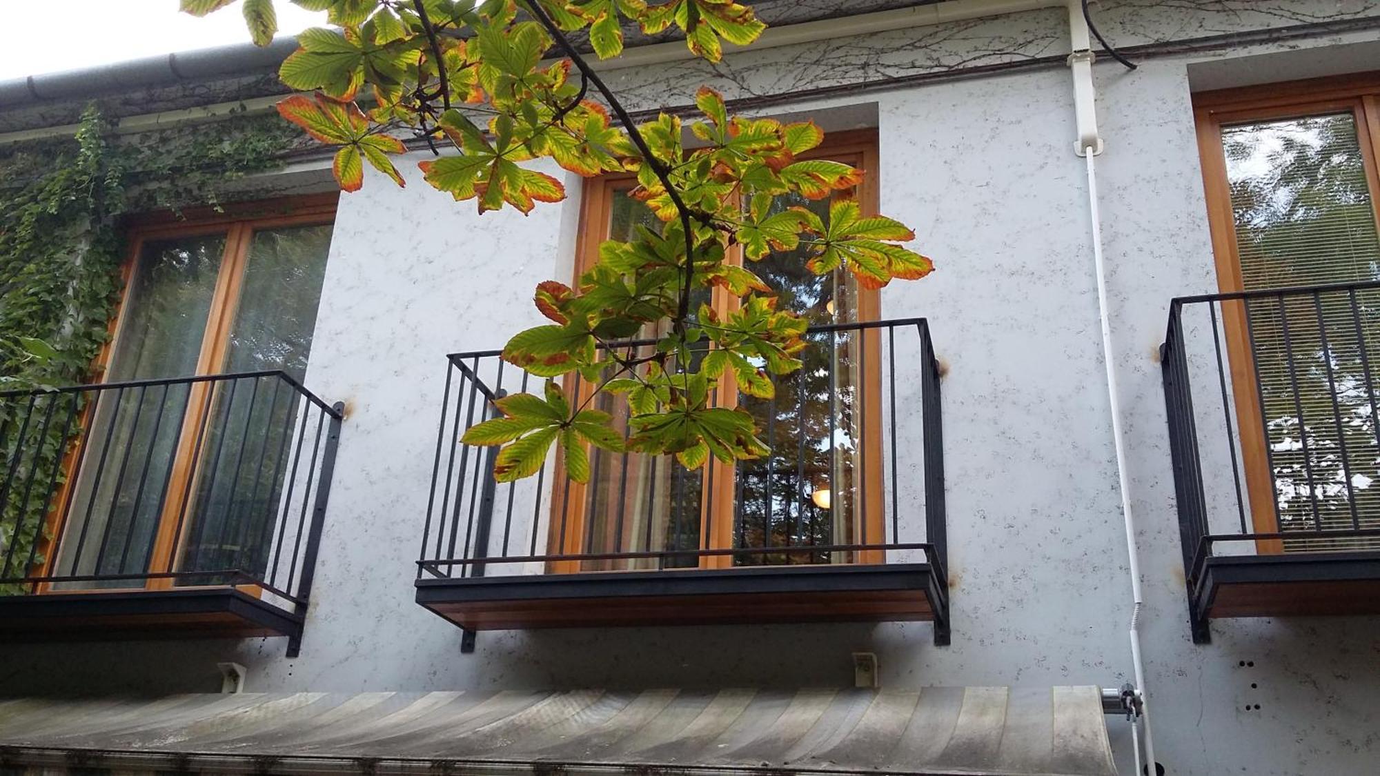 Gimi Vendégház Baja Ngoại thất bức ảnh
